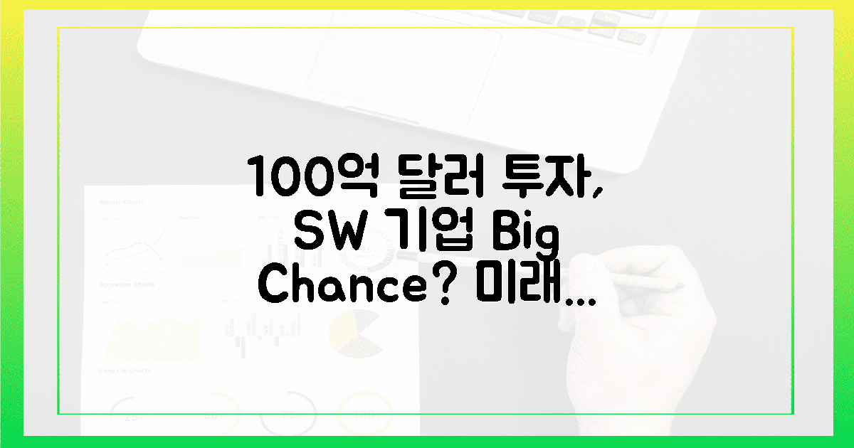 100억 달러 투자,  SW 기업에 기회될까?