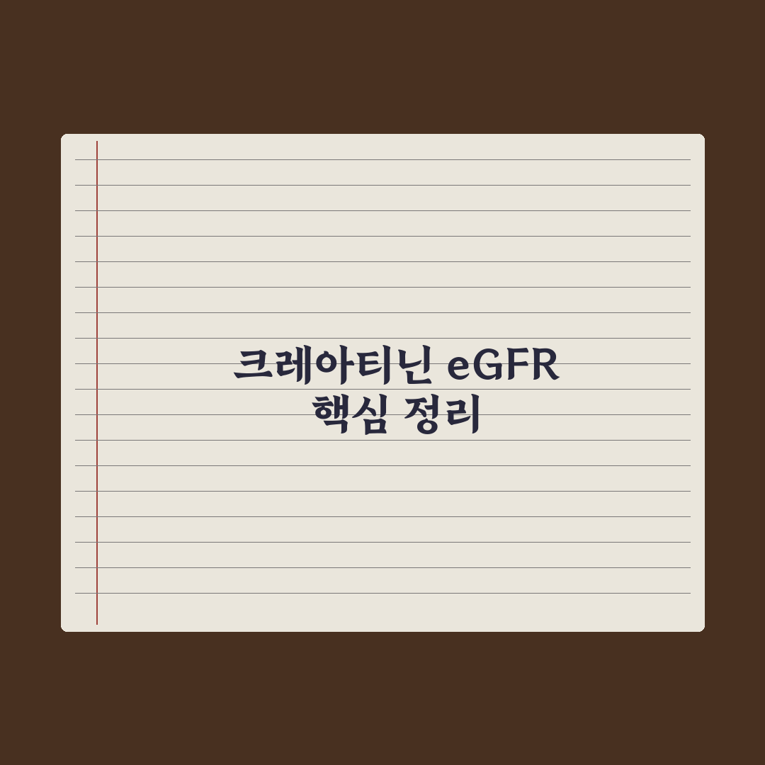 신장 기능 - 크레아티닌·eGFR 이해 완벽가이드: 5단계 수치로 분석한 핵심정리