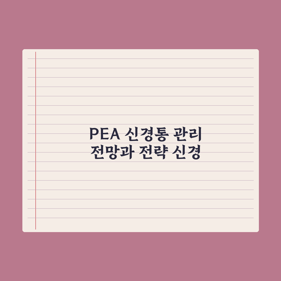 PEA(팔미토일에탄올아미드) - 신경통 보조 성분 정리 총정리, 5대 핵심