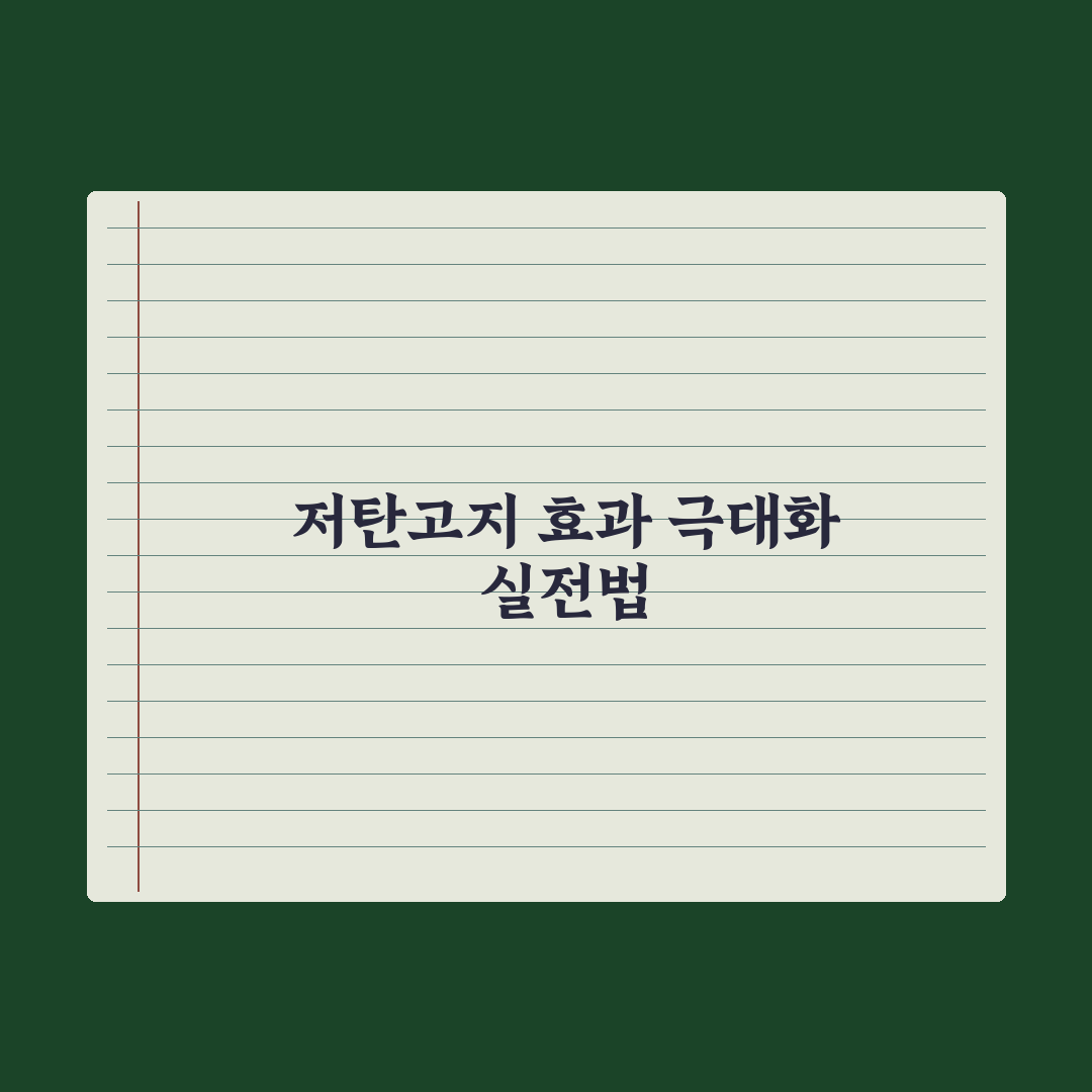 저탄고지(키토) 식단 - 효과와 위험 완벽가이드: 전문가가 분석한 5대 핵심