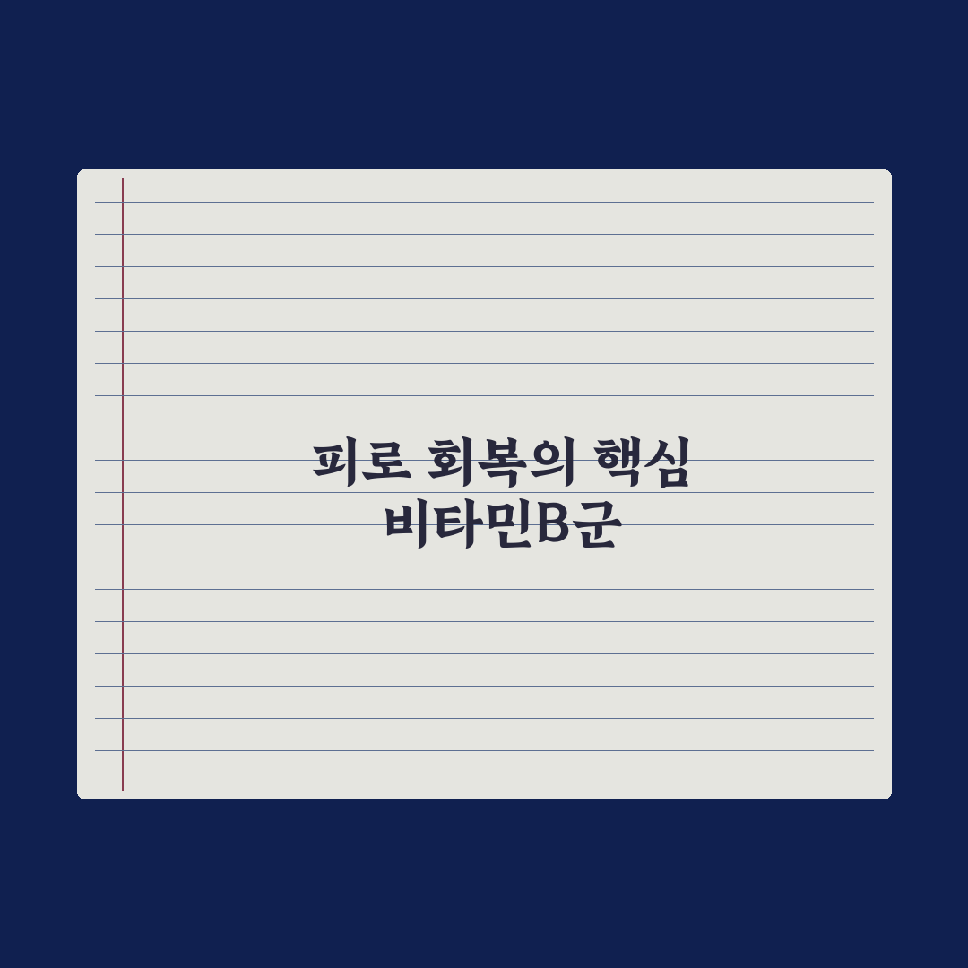 비타민B군 종합 가이드 - 피로 회복에 진짜 효과 있을까 전문가 심층분석