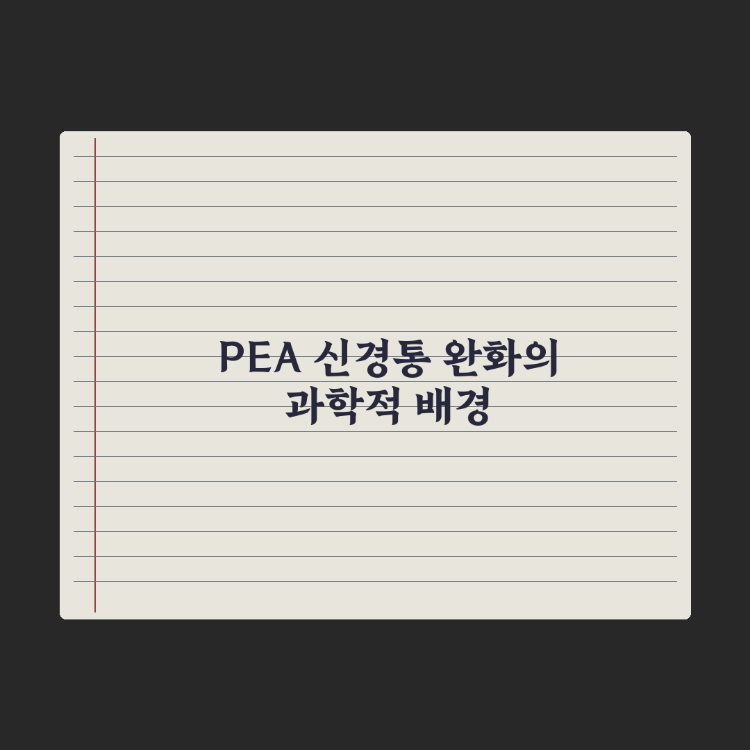 PEA(팔미토일에탄올아미드) - 신경통 보조 성분 정리 총정리, 5대 핵심