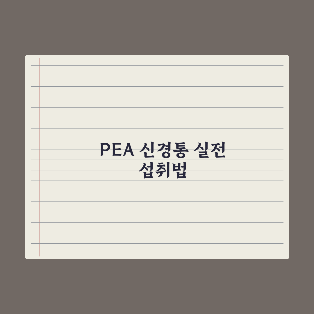 PEA(팔미토일에탄올아미드) - 신경통 보조 성분 정리 총정리, 5대 핵심