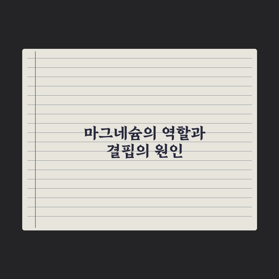 마그네슘 부족 증상 7가지와 풍부한 음식 베스트 완벽가이드: 전문가 검증